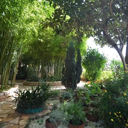 Holiday home Family Friendly House With A Swimming Pool Pjescana Uvala, Pula - 21764 *